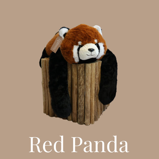 Snugly - Red Panda